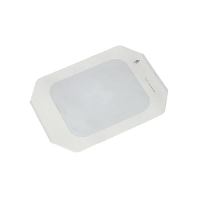 2123-elastoderm f bez vankusika 10x12 cm